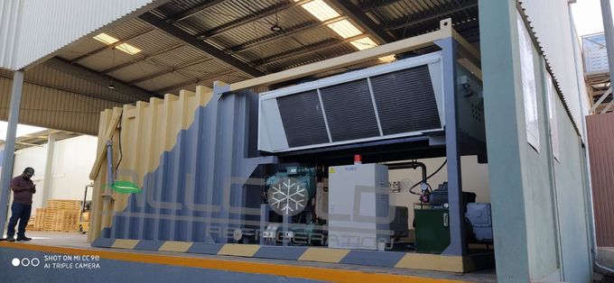 Refroidisseurs complètement automatiques de légumes de palettes de R404A 72KW 3P 4 0